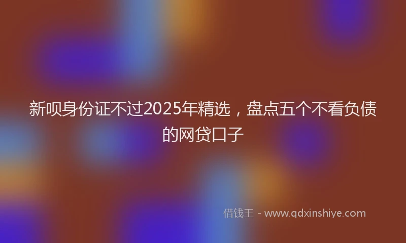 新呗身份证不过2025年精选，盘点五个不看负债的网贷口子