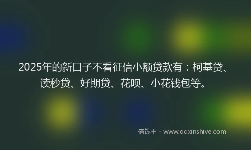2025年的新口子不看征信小额贷款有：柯基贷、读秒贷、好期贷、花呗、小花钱包等。