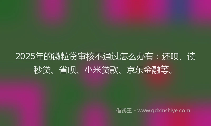 2025年的微粒贷审核不通过怎么办有：还呗、读秒贷、省呗、小米贷款、京东金融等。