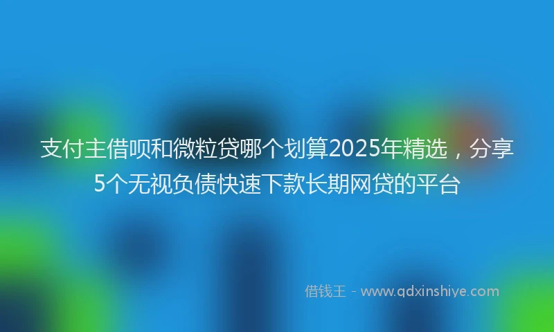 支付主借呗和微粒贷哪个划算2025年精选，分享5个无视负债快速下款长期网贷的平台