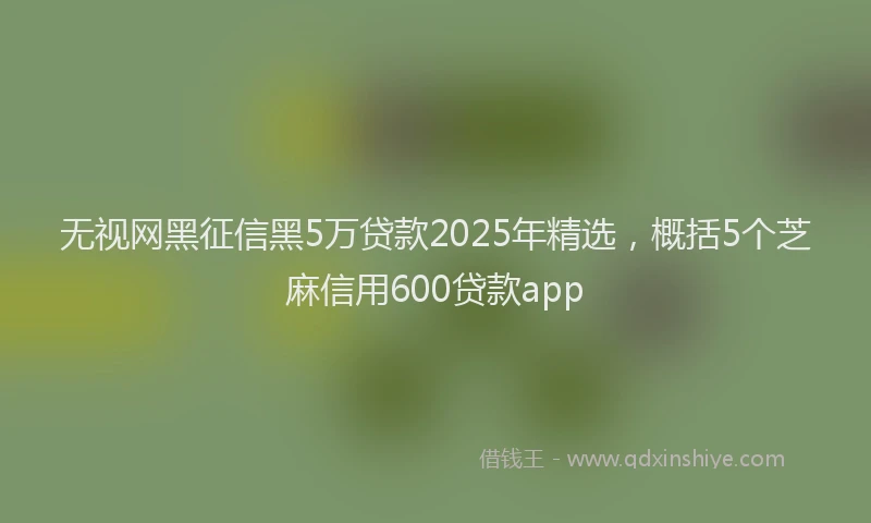 无视网黑征信黑5万贷款2025年精选，概括5个芝麻信用600贷款app