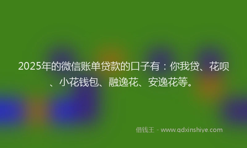 2025年的微信账单贷款的口子有：你我贷、花呗、小花钱包、融逸花、安逸花等。