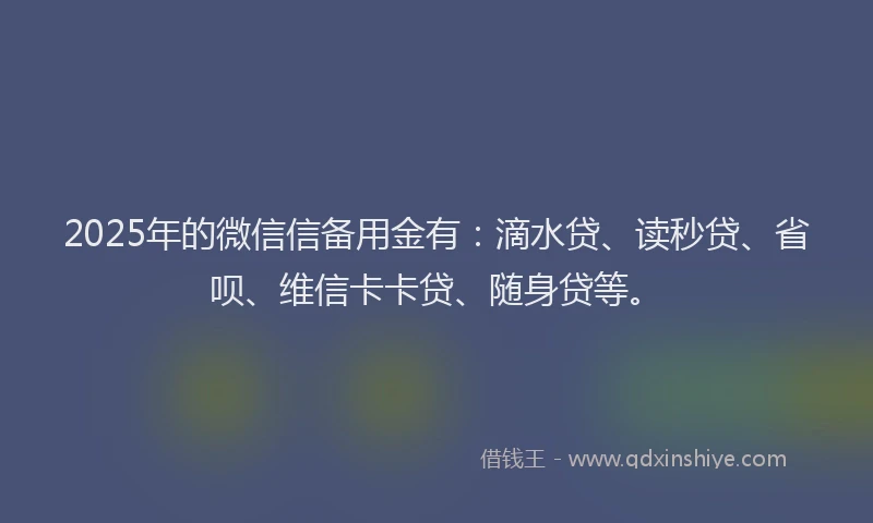 2025年的微信信备用金有：滴水贷、读秒贷、省呗、维信卡卡贷、随身贷等。