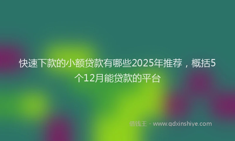 快速下款的小额贷款有哪些2025年推荐，概括5个12月能贷款的平台
