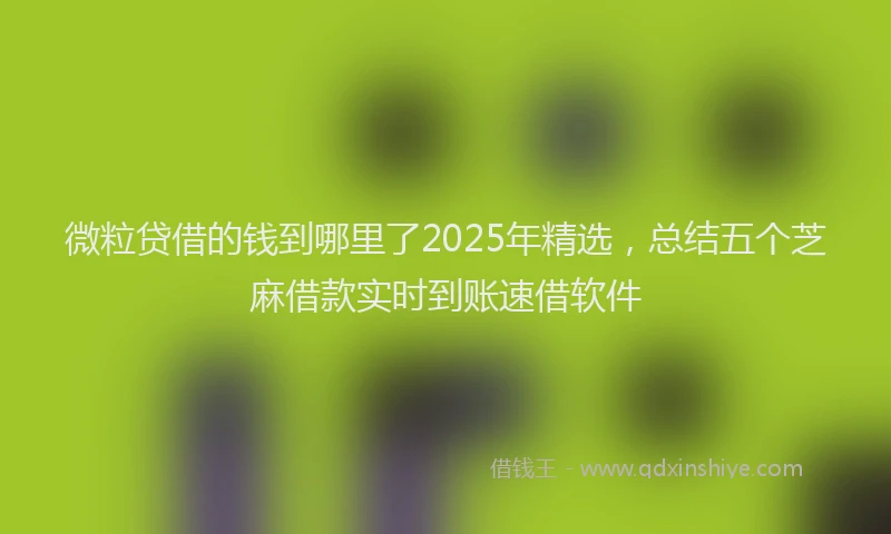 微粒贷借的钱到哪里了2025年精选，总结五个芝麻借款实时到账速借软件