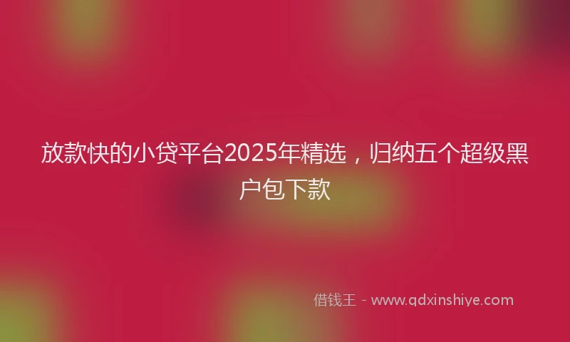 放款快的小贷平台2025年精选，归纳五个超级黑户包下款