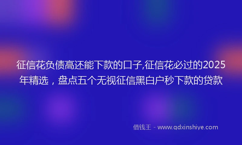 征信花负债高还能下款的口子,征信花必过的2025年精选，盘点五个无视征信黑白户秒下款的贷款