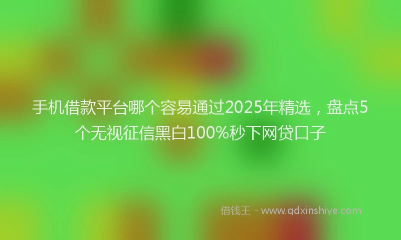 手机借款平台哪个容易通过2025年精选，盘点5个无视征信黑白100%秒下网贷口子