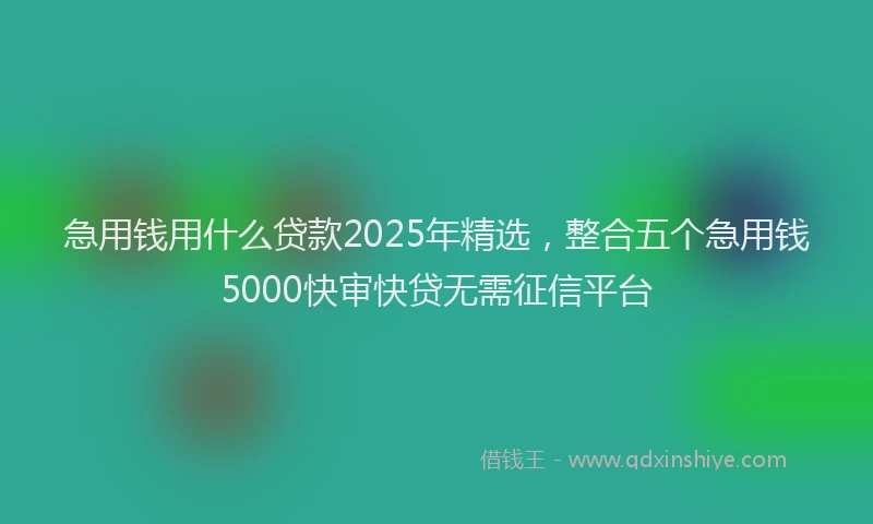 急用钱用什么贷款2025年精选，整合五个急用钱5000快审快贷无需征信平台