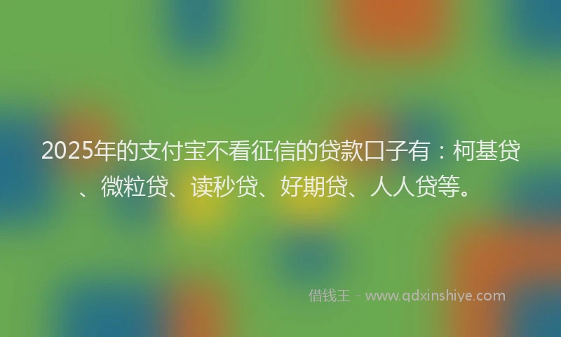 2025年的支付宝不看征信的贷款口子有：柯基贷、微粒贷、读秒贷、好期贷、人人贷等。