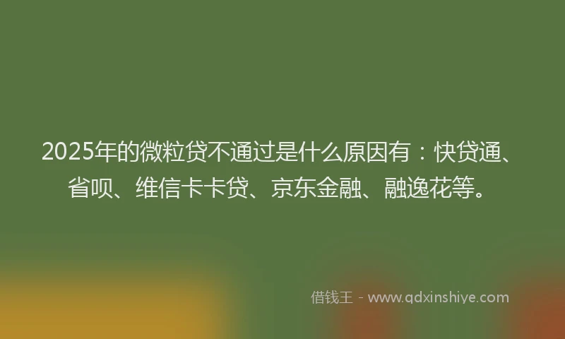 2025年的微粒贷不通过是什么原因有：快贷通、省呗、维信卡卡贷、京东金融、融逸花等。