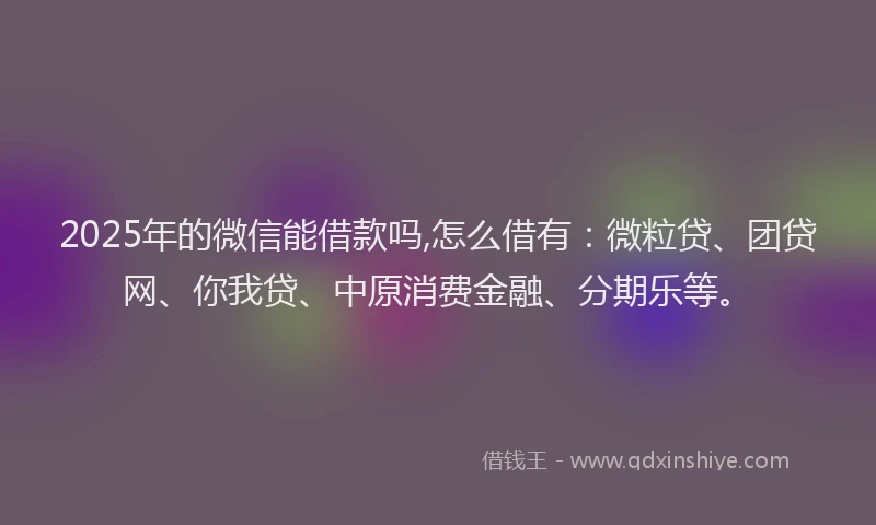 2025年的微信能借款吗,怎么借有：微粒贷、团贷网、你我贷、中原消费金融、分期乐等。