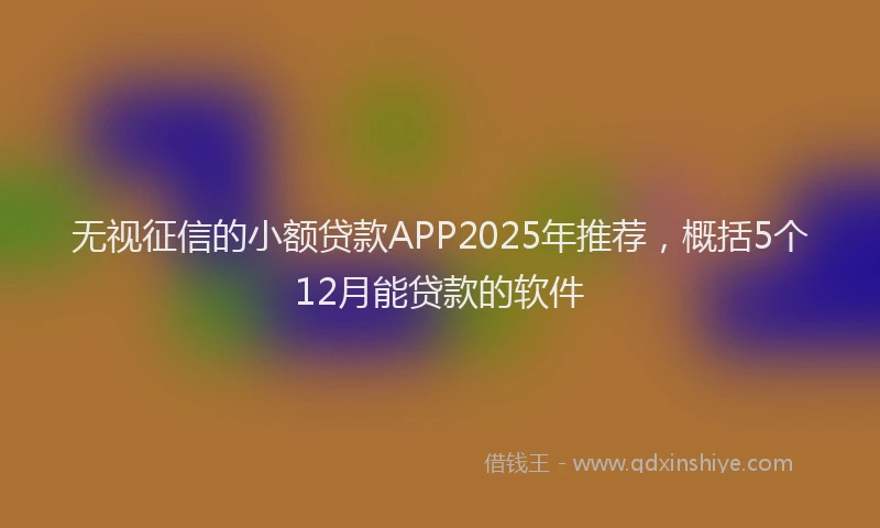 无视征信的小额贷款APP2025年推荐，概括5个12月能贷款的软件