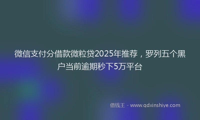 微信支付分借款微粒贷2025年推荐，罗列五个黑户当前逾期秒下5万平台