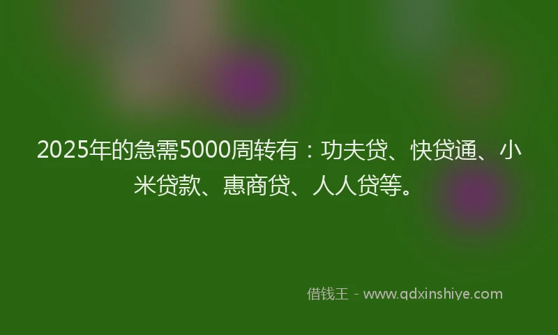 2025年的急需5000周转有：功夫贷、快贷通、小米贷款、惠商贷、人人贷等。
