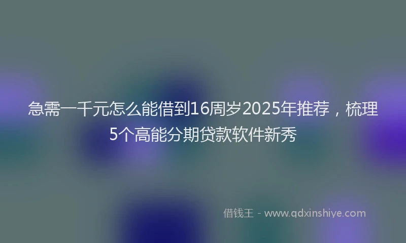 急需一千元怎么能借到16周岁2025年推荐，梳理5个高能分期贷款软件新秀