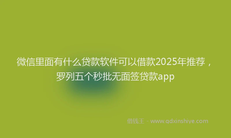 微信里面有什么贷款软件可以借款2025年推荐，罗列五个秒批无面签贷款app