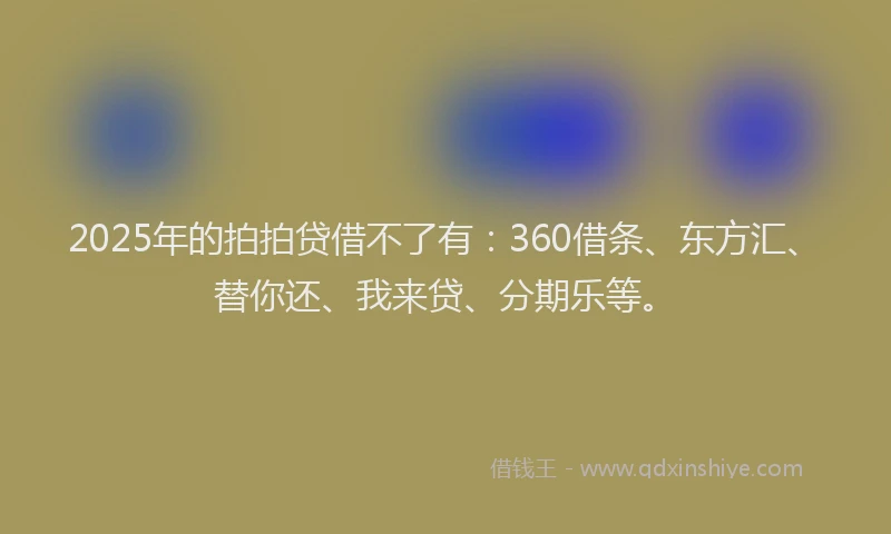 2025年的拍拍贷借不了有：360借条、东方汇、替你还、我来贷、分期乐等。