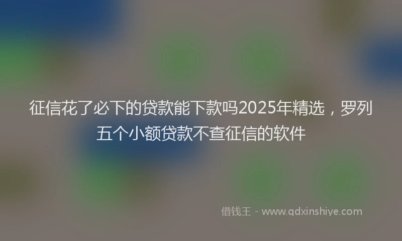 征信花了必下的贷款能下款吗2025年精选，罗列五个小额贷款不查征信的软件
