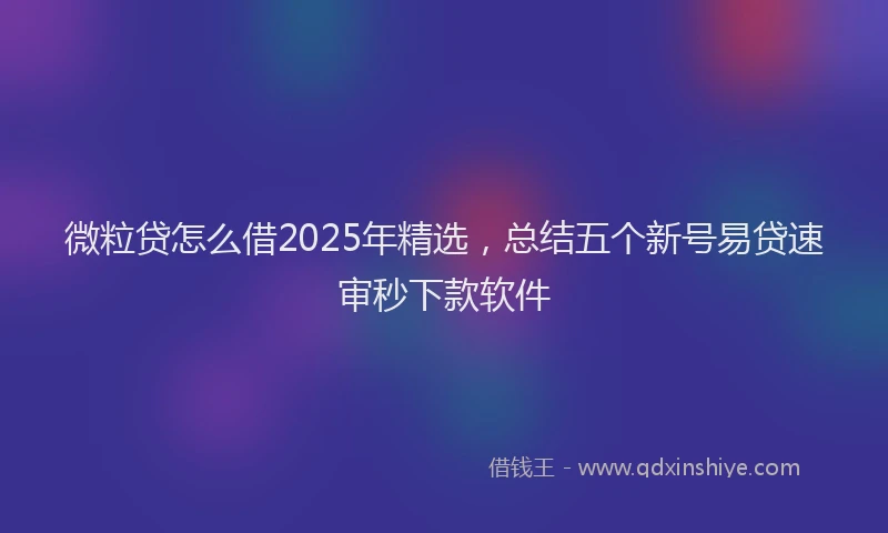 微粒贷怎么借2025年精选，总结五个新号易贷速审秒下款软件