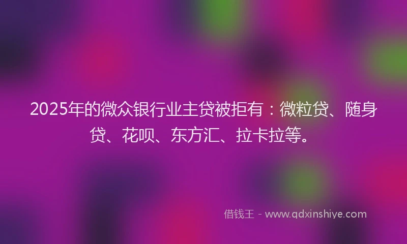 2025年的微众银行业主贷被拒有：微粒贷、随身贷、花呗、东方汇、拉卡拉等。