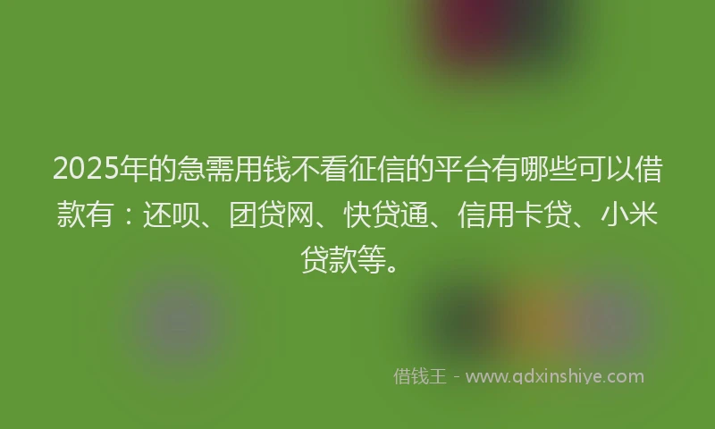 2025年的急需用钱不看征信的平台有哪些可以借款有：还呗、团贷网、快贷通、信用卡贷、小米贷款等。