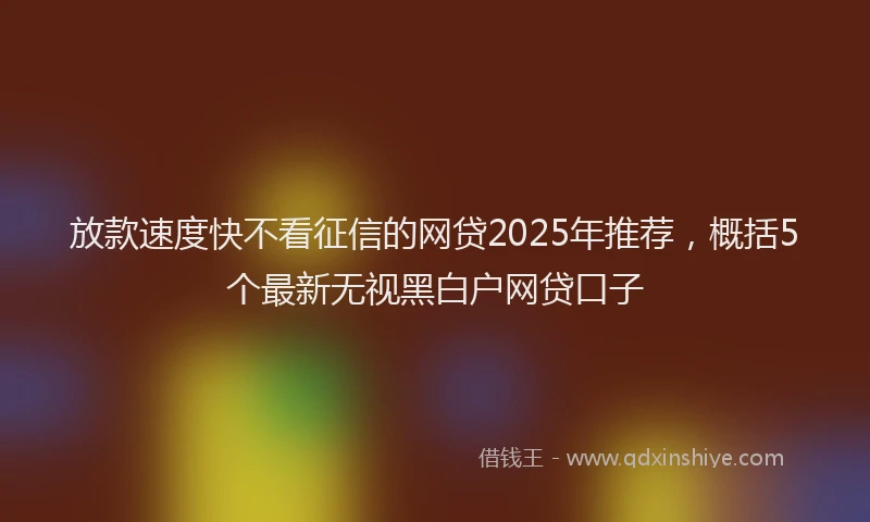 放款速度快不看征信的网贷2025年推荐，概括5个最新无视黑白户网贷口子