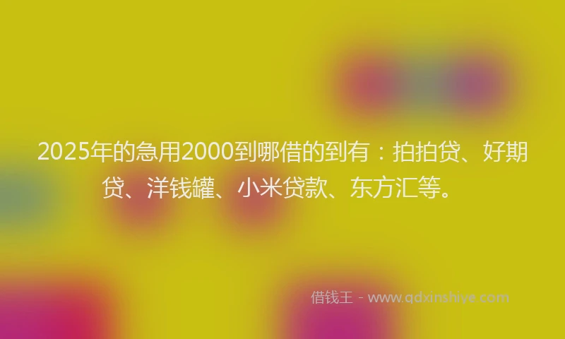 2025年的急用2000到哪借的到有：拍拍贷、好期贷、洋钱罐、小米贷款、东方汇等。