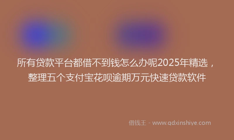 所有贷款平台都借不到钱怎么办呢2025年精选，整理五个支付宝花呗逾期万元快速贷款软件