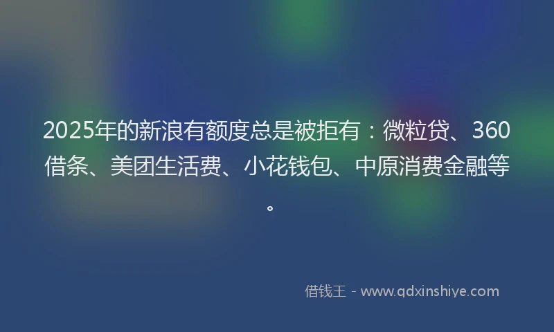 2025年的新浪有额度总是被拒有：微粒贷、360借条、美团生活费、小花钱包、中原消费金融等。