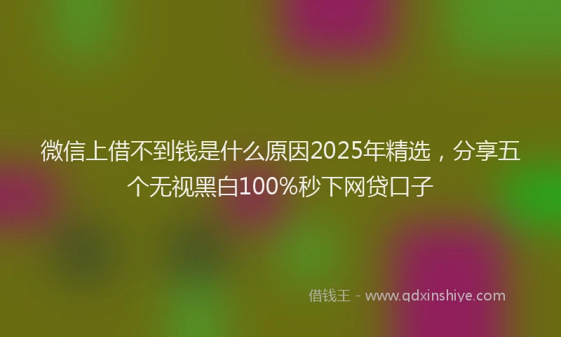 微信上借不到钱是什么原因2025年精选，分享五个无视黑白100%秒下网贷口子