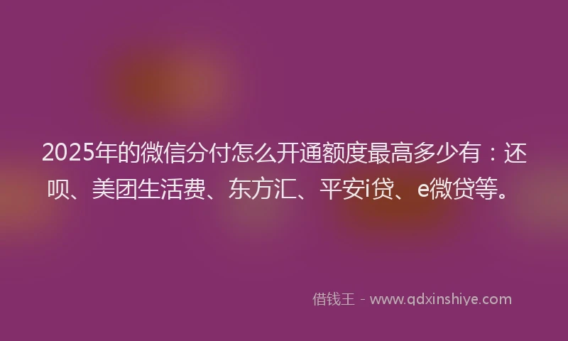 2025年的微信分付怎么开通额度最高多少有：还呗、美团生活费、东方汇、平安i贷、e微贷等。