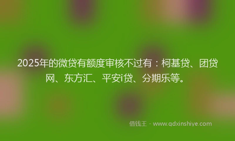 2025年的微贷有额度审核不过有：柯基贷、团贷网、东方汇、平安i贷、分期乐等。