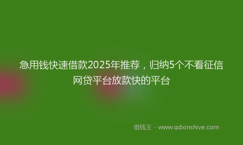 急用钱快速借款2025年推荐，归纳5个不看征信网贷平台放款快的平台