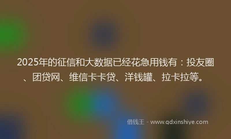 2025年的征信和大数据已经花急用钱有：投友圈、团贷网、维信卡卡贷、洋钱罐、拉卡拉等。