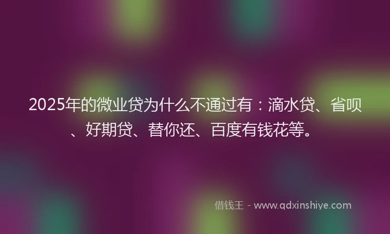 2025年的微业贷为什么不通过有：滴水贷、省呗、好期贷、替你还、百度有钱花等。
