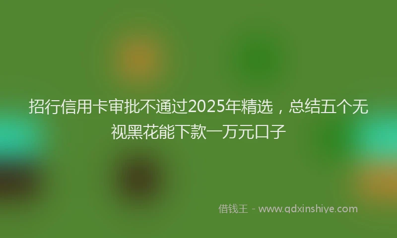 招行信用卡审批不通过2025年精选，总结五个无视黑花能下款一万元口子