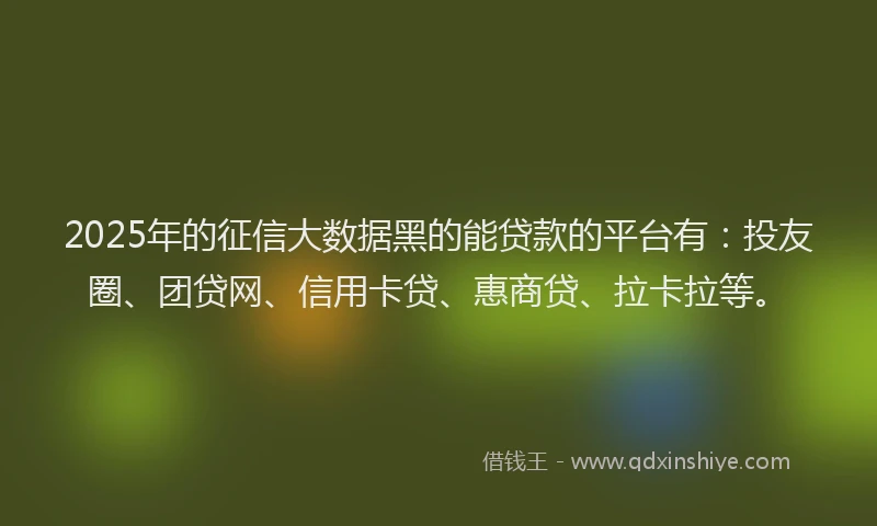 2025年的征信大数据黑的能贷款的平台有：投友圈、团贷网、信用卡贷、惠商贷、拉卡拉等。