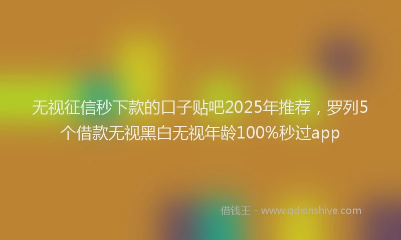 无视征信秒下款的口子贴吧2025年推荐，罗列5个借款无视黑白无视年龄100%秒过app
