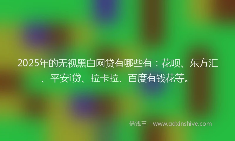 2025年的无视黑白网贷有哪些有：花呗、东方汇、平安i贷、拉卡拉、百度有钱花等。