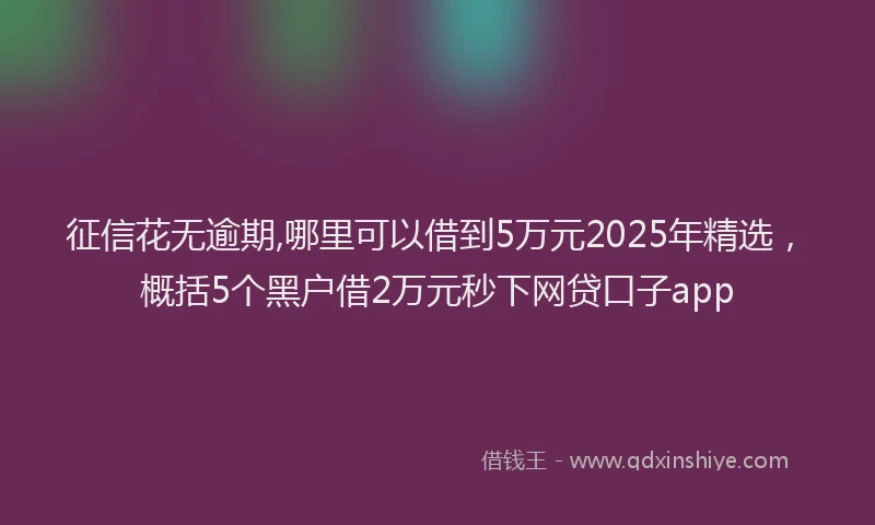 征信花无逾期,哪里可以借到5万元2025年精选，概括5个黑户借2万元秒下网贷口子app
