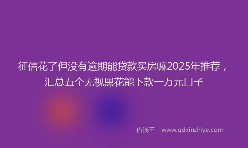 征信花了但没有逾期能贷款买房嘛2025年推荐，汇总五个无视黑花能下款一万元口子