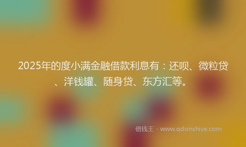 2025年的度小满金融借款利息有：还呗、微粒贷、洋钱罐、随身贷、东方汇等。