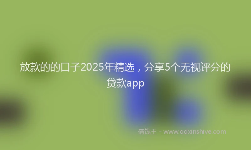 放款的的口子2025年精选，分享5个无视评分的贷款app