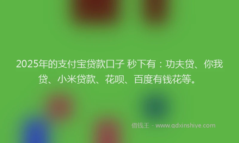 2025年的支付宝贷款口子 秒下有：功夫贷、你我贷、小米贷款、花呗、百度有钱花等。