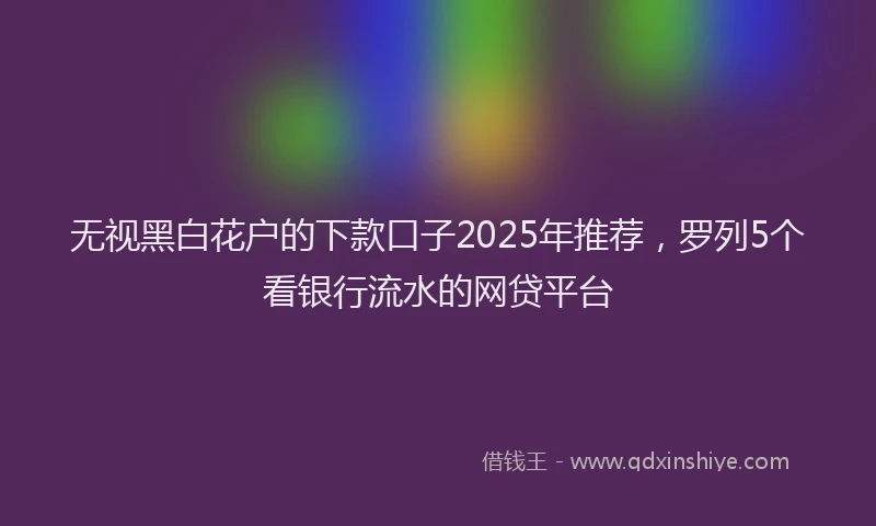 无视黑白花户的下款口子2025年推荐，罗列5个看银行流水的网贷平台
