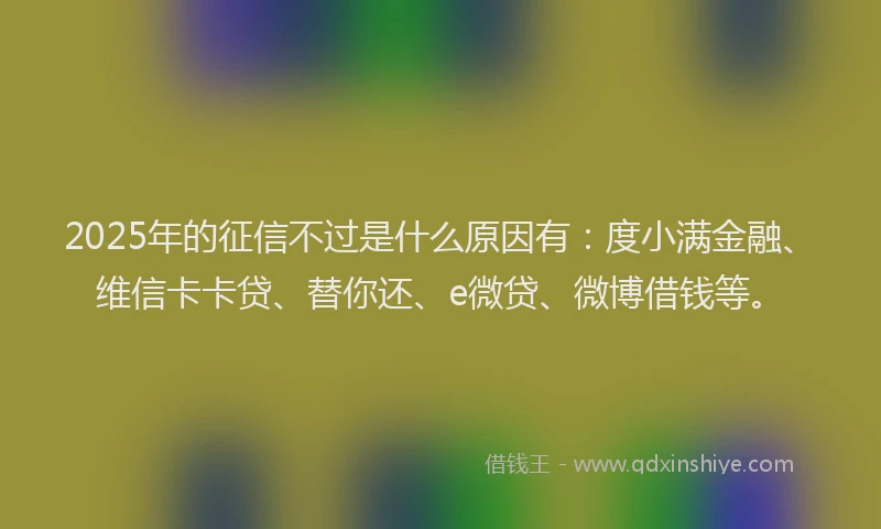 2025年的征信不过是什么原因有：度小满金融、维信卡卡贷、替你还、e微贷、微博借钱等。