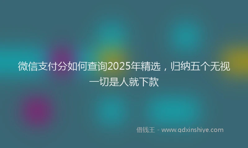 微信支付分如何查询2025年精选，归纳五个无视一切是人就下款