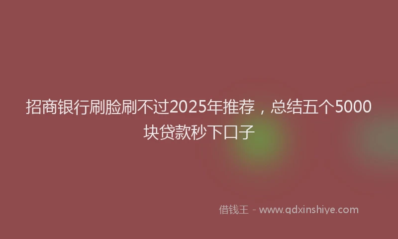 招商银行刷脸刷不过2025年推荐，总结五个5000块贷款秒下口子