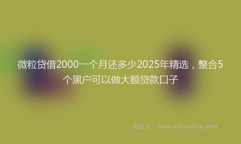 微粒贷借2000一个月还多少2025年精选，整合5个黑户可以做大额贷款口子